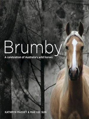 cover image of Brumby
